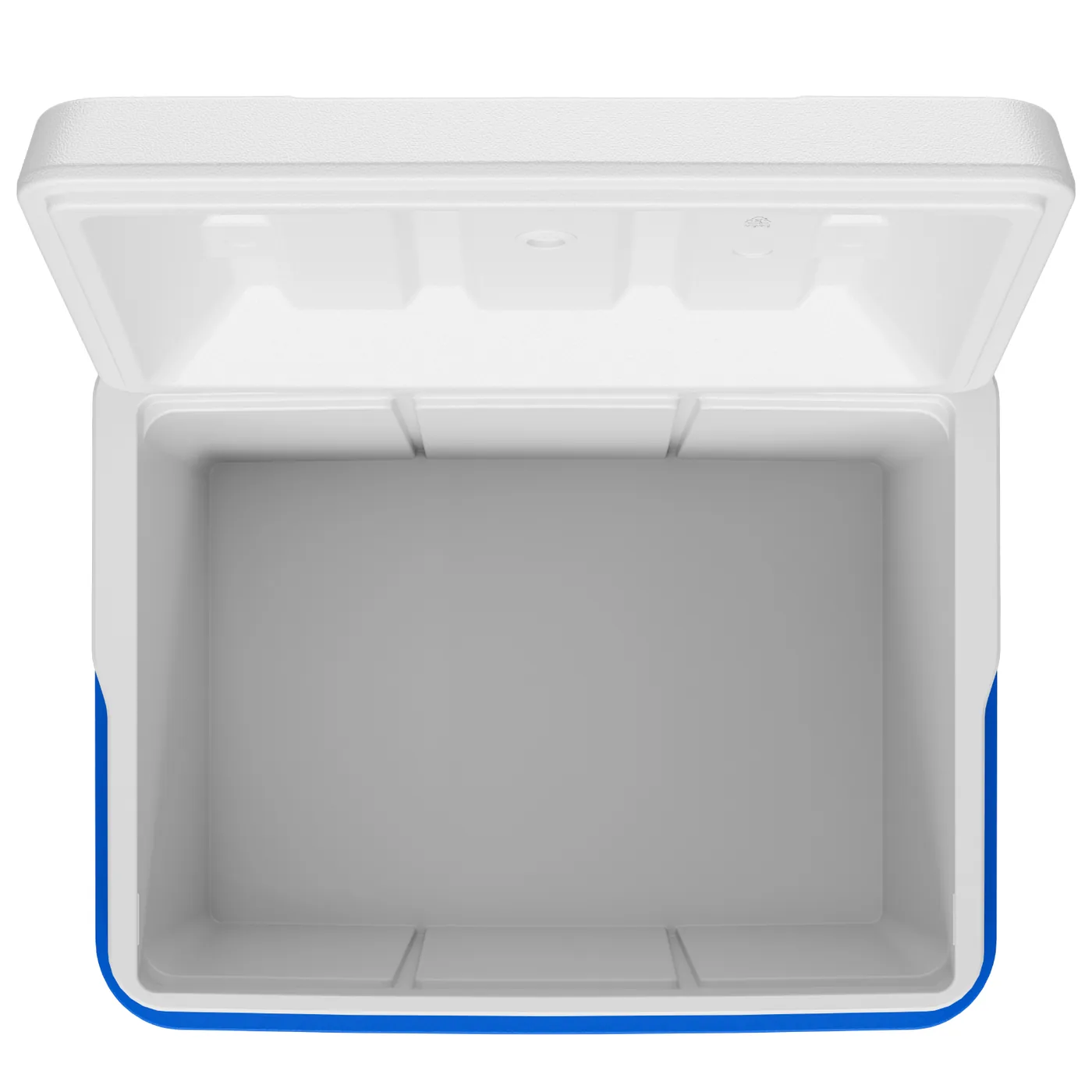 VEVOR Hard Cooler 45QT Easy-to-Clean Inner Liner