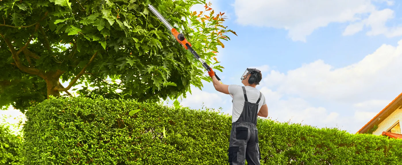 VEVOR Electric Hedge Trimmer High Branch 20 inch feature 3