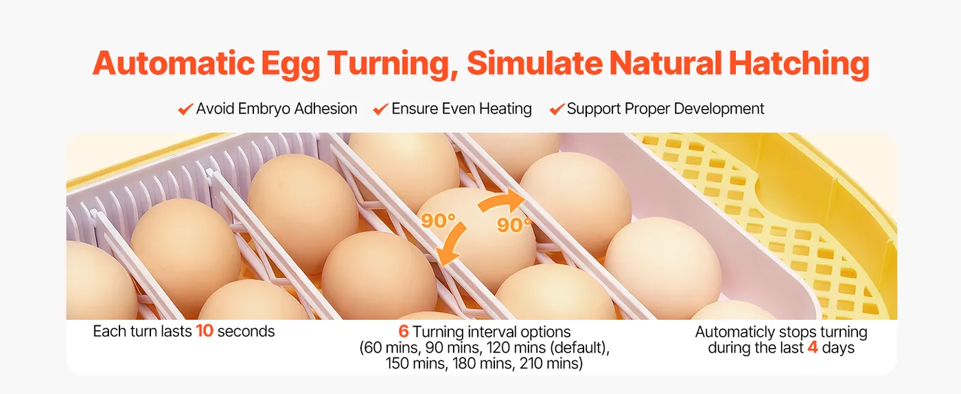 VEVOR 24 Egg Incubator 24 Eggs Mimic Hen Turning Eggs