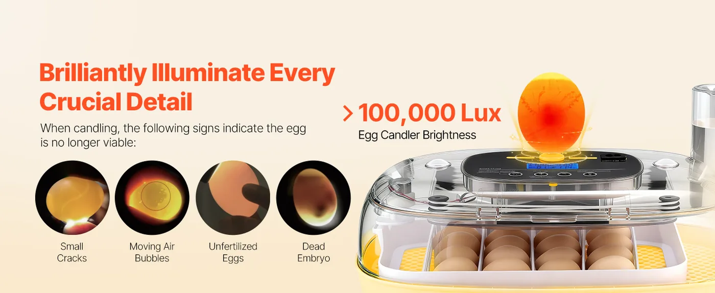VEVOR 24 Egg Incubator 24 Eggs High-Brightness Candler