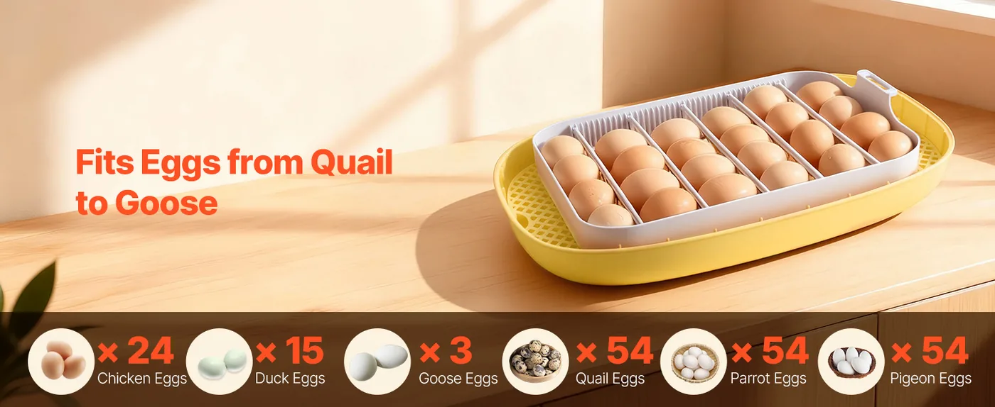 VEVOR 24 Egg Incubator 24 Eggs Fits Different Egg Types