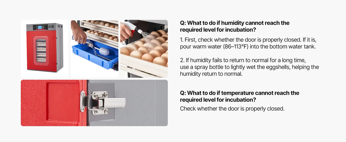 VEVOR 400 Egg Incubator 400 Eggs Q & A