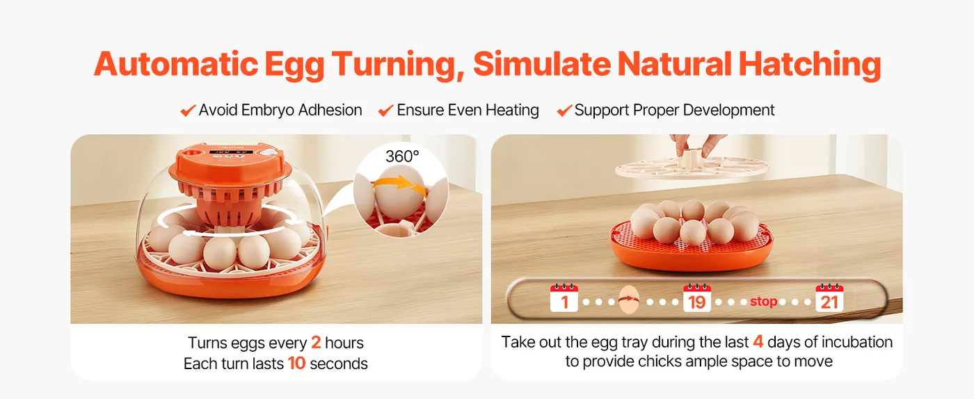 VEVOR 12 Egg Incubator 12 Eggs Mimic Hen Turning Eggs