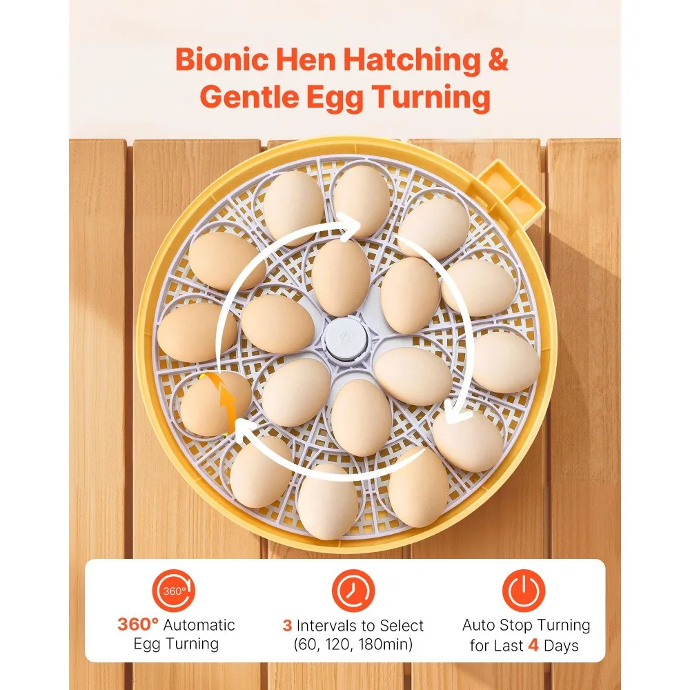 VEVOR 18 Egg Incubator 18 Eggs product image 4
