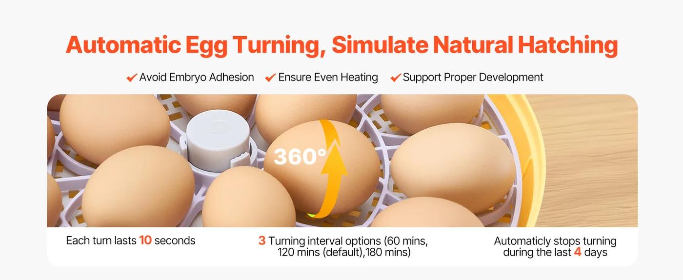 VEVOR 18 Egg Incubator 18 Eggs Mimic Hen Turning Eggs