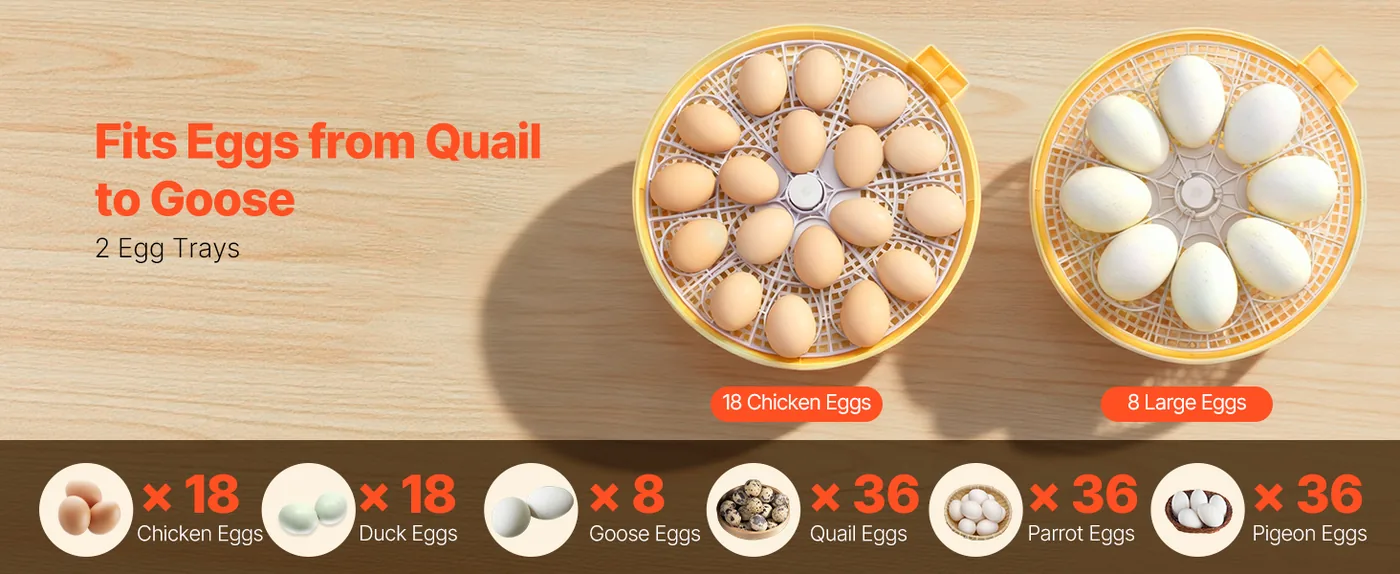 VEVOR 18 Egg Incubator 18 Eggs Fits Different Egg Types