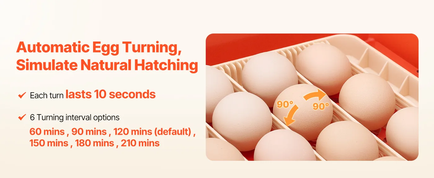 VEVOR 36 Egg Incubator 36 Eggs Mimic Hen Turning Eggs