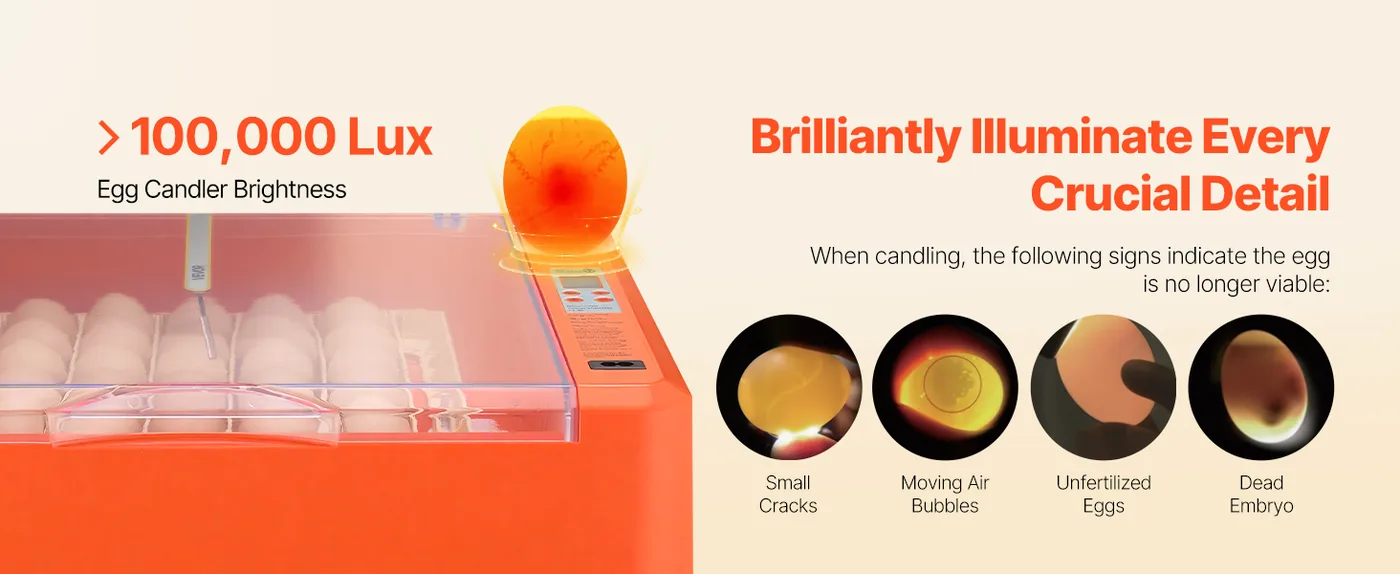 VEVOR 36 Egg Incubator 36 Eggs High-Brightness Candler