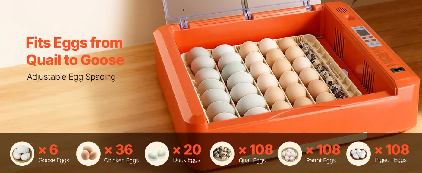 VEVOR 36 Egg Incubator 36 Eggs Fits Different Egg Types