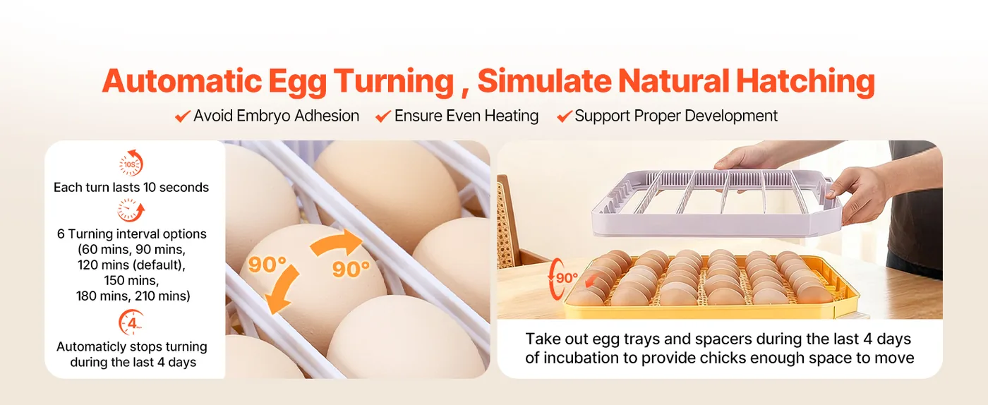 VEVOR 48 Egg Incubator 48 Eggs Mimic Hen Turning Eggs