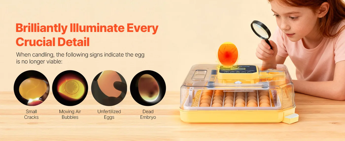 VEVOR 48 Egg Incubator 48 Eggs High-Brightness Candler