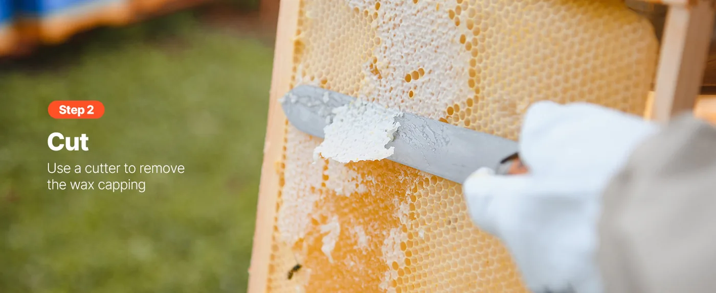VEVOR Honey Extractor 2 Frame 13.4 inch feature 3