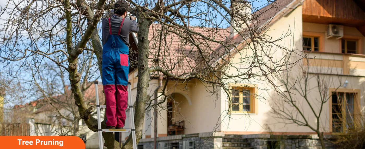 VEVOR Telescoping Ladder 10.5 ft Tree Pruning