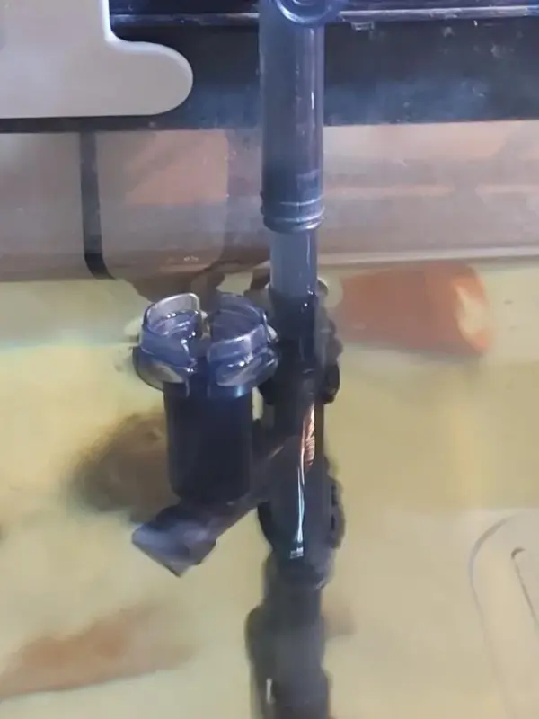 Customer photo 8 of <span class="sdh-h1" data-short="VEVOR Aquarium Filter 317GPH 1200L/h">VEVOR Aquarium Filter 317GPH, 4-Stage Canister Filter 100 Gallon, Ultra-Quiet Internal Aquarium Filter with UV Protection, Submersible Power Filter with Multiple Function for Fish Tanks, 12W</span>