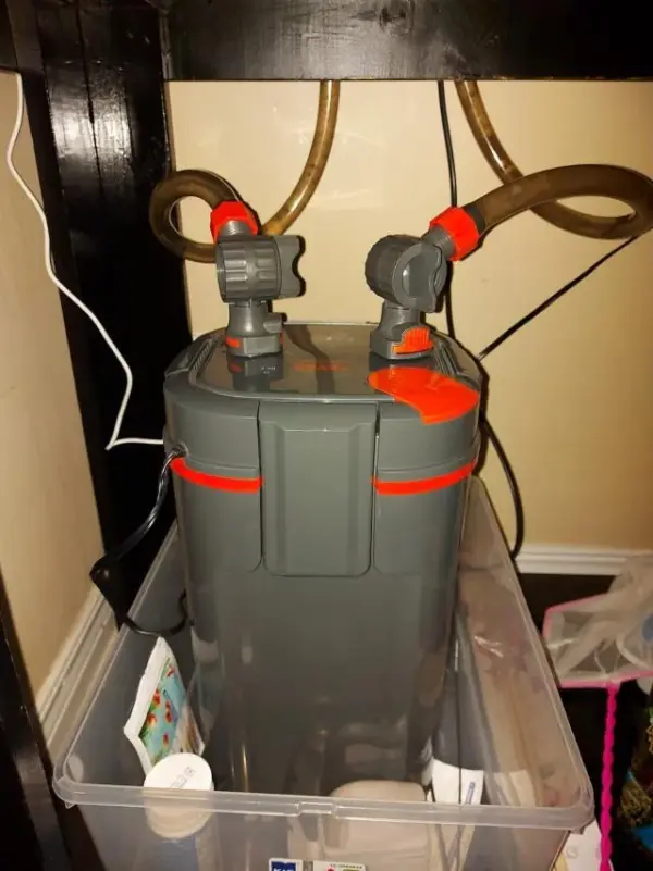 Customer photo 10 of <span class="sdh-h1" data-short="VEVOR Aquarium Filter 317GPH 1200L/h">VEVOR Aquarium Filter 317GPH, 4-Stage Canister Filter 100 Gallon, Ultra-Quiet Internal Aquarium Filter with UV Protection, Submersible Power Filter with Multiple Function for Fish Tanks, 12W</span>