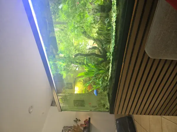 Customer photo 7 of <span class="sdh-h1" data-short="VEVOR Aquarium Filter 660GPH 2600L/h">VEVOR Aquarium Filter 660GPH, 5-Stage Canister Filter 235 Gallon, Ultra-Quiet Internal Aquarium Filter with UV Protection, Submersible Power Filter with Multiple Function for Fish Tanks, 25W</span>