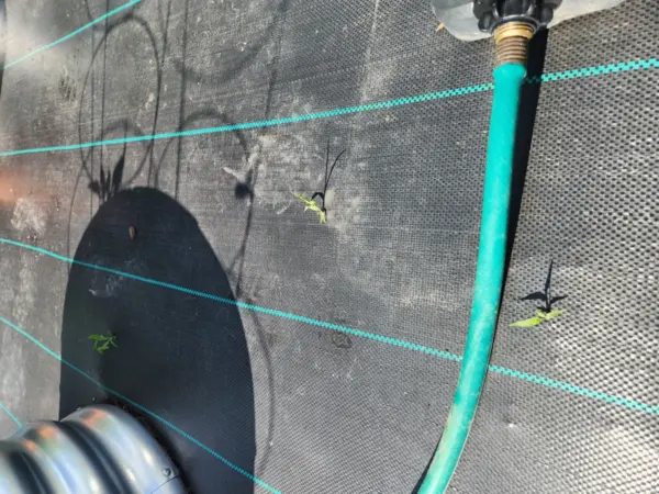 Customer photo 3 of <span class="sdh-h1" data-short="VEVOR 13 x 60 ft Weed Barrier Fabric 5 oz Heavy Duty">VEVOR 13FTx60FT Premium Heavy Duty Weed Barrier Landscape Fabric, 5OZ Woven Geotextile Fabric Under Gravel, High Permeability for Weed Blocker Weed Mat, Driveway Fabric, Weed Control Garden Cloth</span>