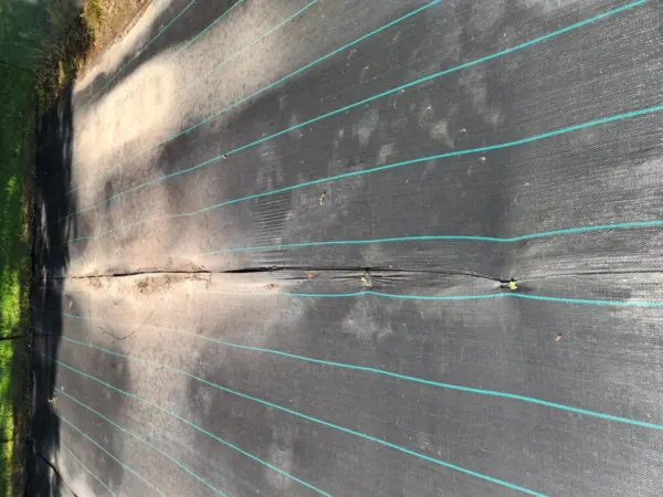 Customer photo 4 of <span class="sdh-h1" data-short="VEVOR 13 x 60 ft Weed Barrier Fabric 5 oz Heavy Duty">VEVOR 13FTx60FT Premium Heavy Duty Weed Barrier Landscape Fabric, 5OZ Woven Geotextile Fabric Under Gravel, High Permeability for Weed Blocker Weed Mat, Driveway Fabric, Weed Control Garden Cloth</span>