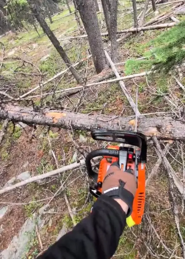 Customer photo 3 of <span class="sdh-h1" data-short="VEVOR 25.4CC 12 in Gas Chainsaw, 1.2 HP Handheld">VEVOR Gas Chainsaw, 25.4CC 12″ 1.2HP, Gasoline Powered Chain Saw, Handheld Cordless Petrol Chainsaws for Tree Wood Branch Cutting, Tree Trimming, Land Clearing, Farm Garden Ranch Forest Cutting Use</span>