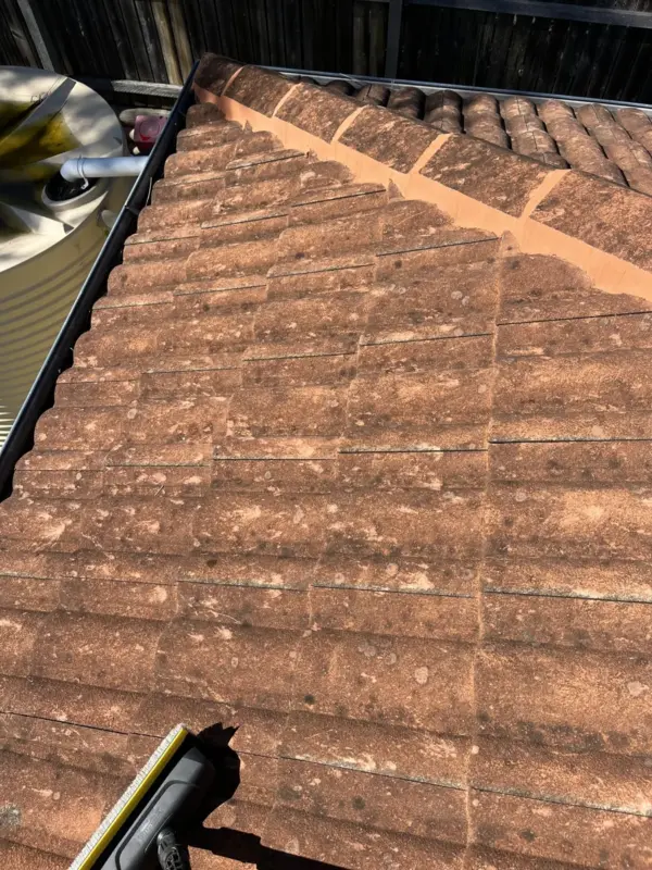 Customer photo 3 of <span class="sdh-h1" data-short="VEVOR 950W Airless Paint Sprayer 3000 PSI Electric Stand">VEVOR 950W Stand Airless Paint Sprayer, 3000PSI High Efficiency Electric Airless Sprayer, Handheld Paint Sprayers for Home Interior and Exterior Furniture and Fences, Fine And Even Painting Effect</span>